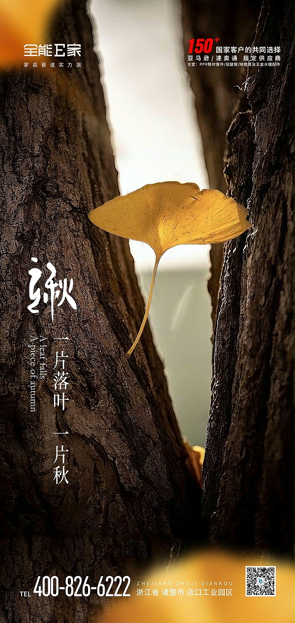 786-立秋海报